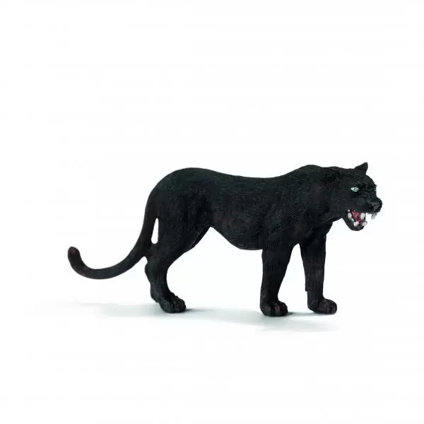 Wild Life - Panthere noire