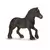 Horse Club - Poney fell femelle