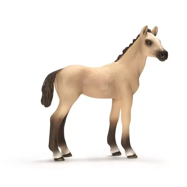 Horse Club - Poulain akhal-teke