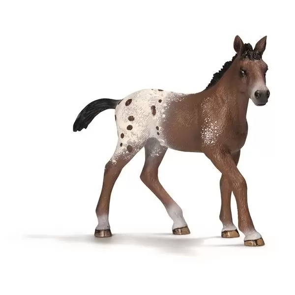 Horse Club - Poulain appaloosa