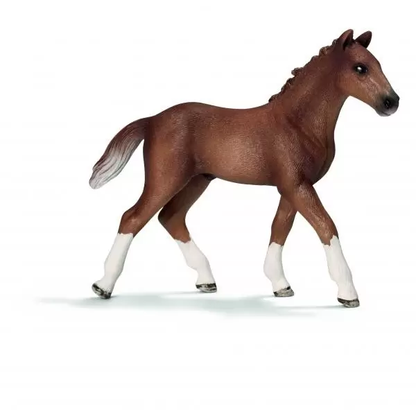 Horse Club - Poulain hanovre