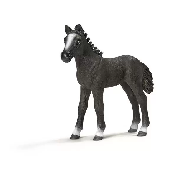 Horse Club - Poulain Lipizzan