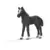 Poulain Lipizzan