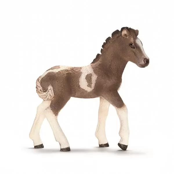 Horse Club - Poulain poney island