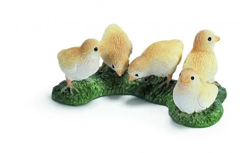 Farm World - Poussins