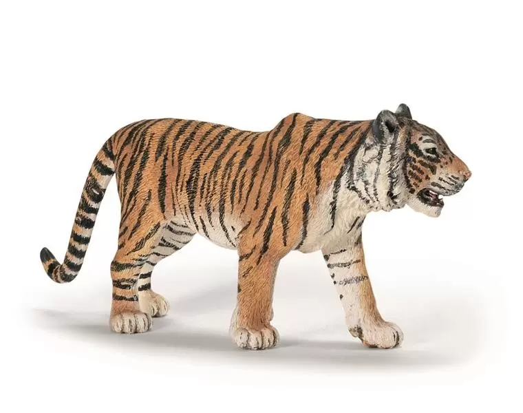Wild Life - Tigre du Bengale mâle