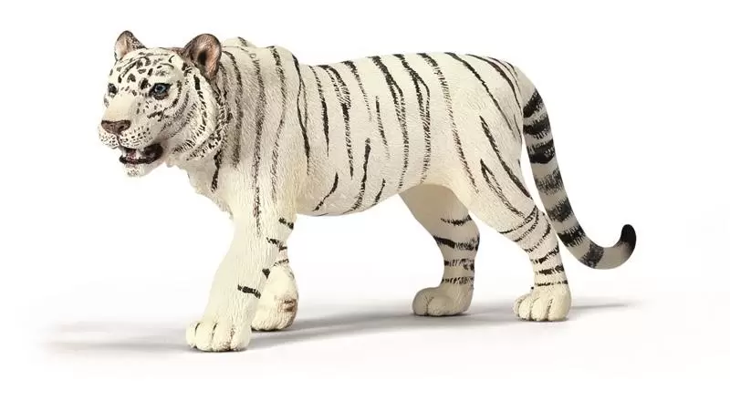 Wild Life - Tigre mâle blanc