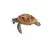 Wild Life - Tortue de mer