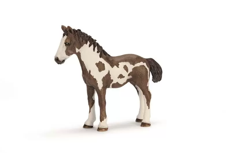 Horse Club - Yearling pinto