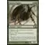 Core Set 2013 (M13) - Araignée sentinelle