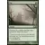 Core Set 2013 (M13) - Brouillard