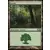 Forêt