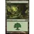 Forêt