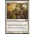 Frappesoleil d'Ajani