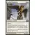 Protecteur griffon