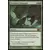 Core Set 2013 (M13) - Sauvagerie prédatoire