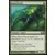 Core Set 2013 (M13) - Scarabée d\'affinité