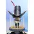 First 4 Figures (F4F) - Dark Souls - SD Solaire of Astora