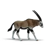 Antilope oryx
