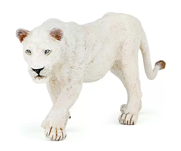 PAPO - Lionne blanche