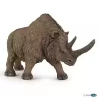 Rhinoceros laineux