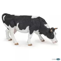 Vache broutant - Noir et blanc