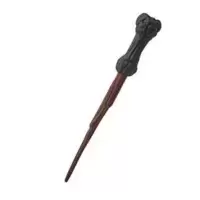 Harry's wand