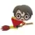 Harry Potter with Broom