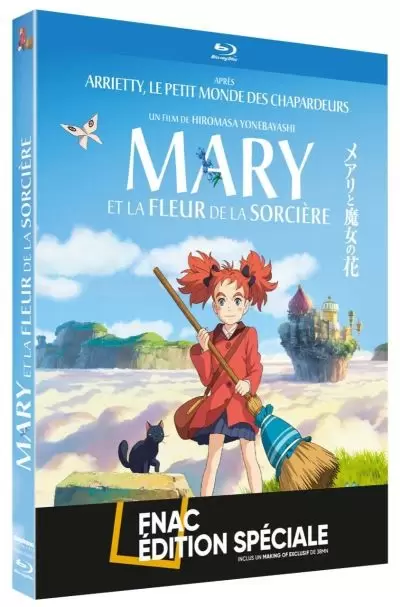 Film d\'Animation - Mary et la fleur de la sorcière