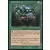Visions - Druide quirionais