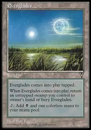 Visions - Everglades