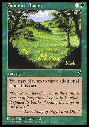 Visions - Floraison estivale