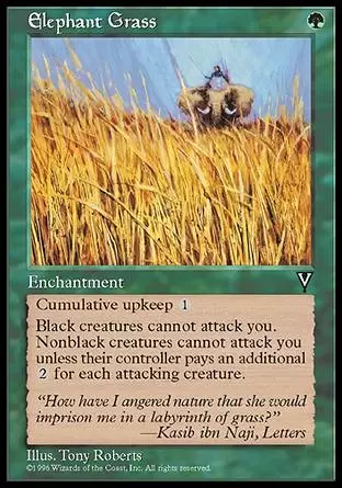 Visions - Herbes éléphantesques