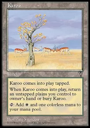 Visions - Karroo
