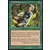 Ranger quirionais