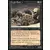 Rats des cryptes
