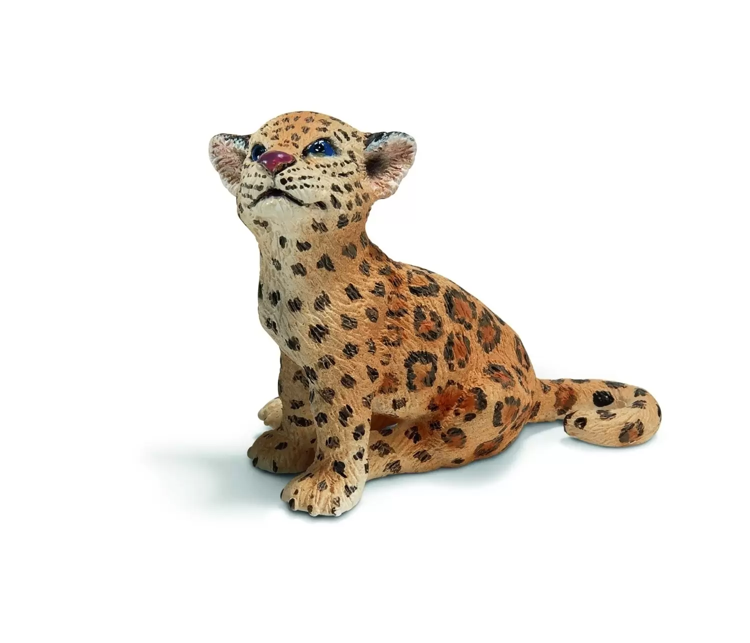 Wild Life - Bébé jaguar