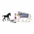 Horse Club - Soins pour Lipizzan
