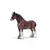 Hongre Clydesdale
