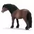 Horse Club - Jument poney dartmoor
