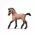 Horse Club - Poulain andalou