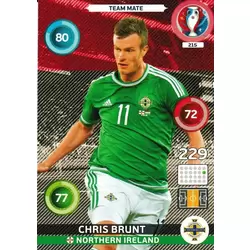 Chris Brunt - Northern Ireland