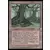 Arbres creux