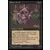 Basal Thrull