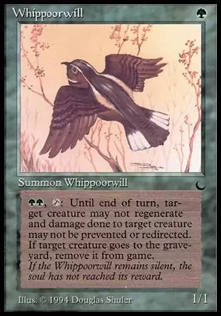 The Dark - Whippoorwill