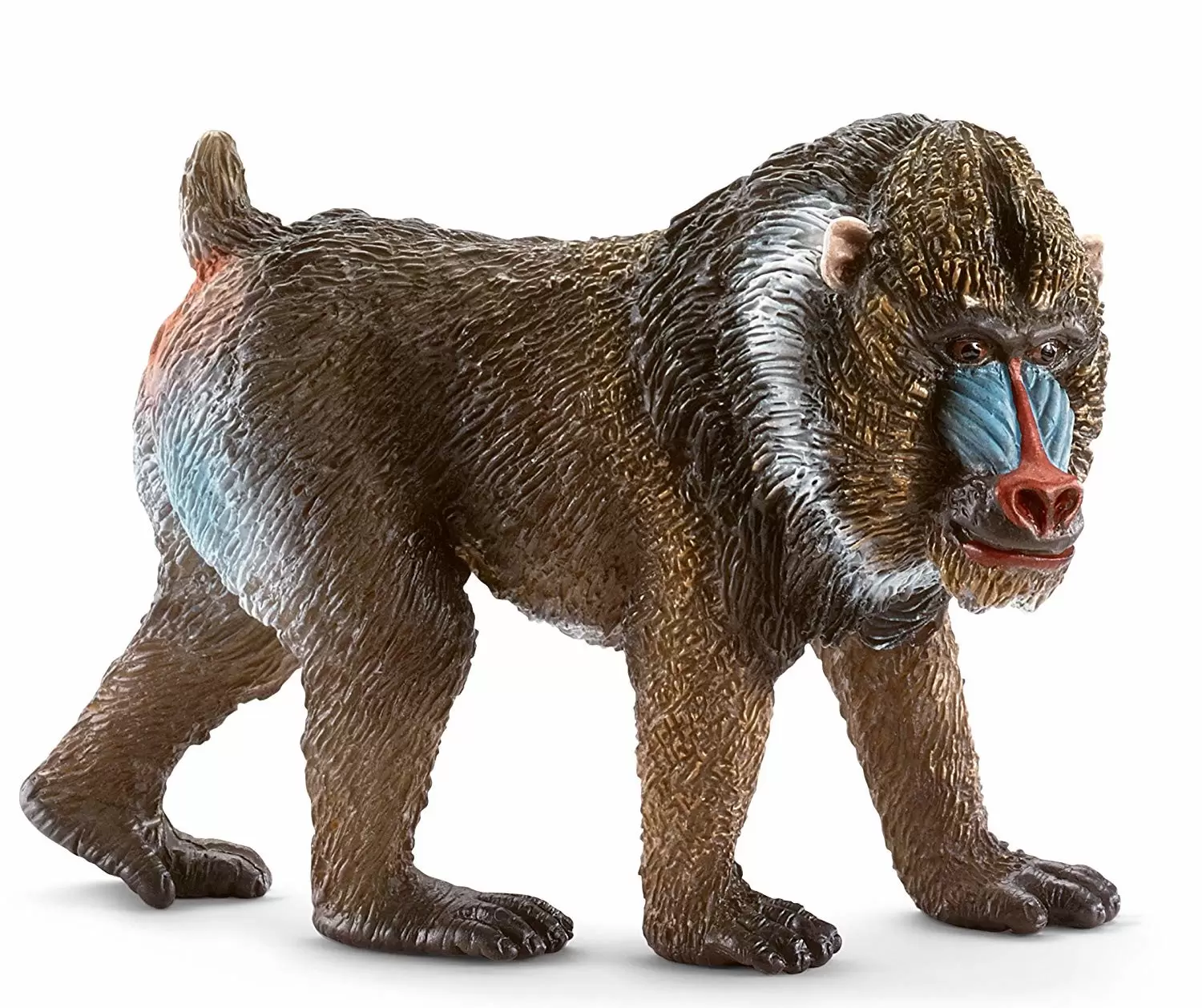 Wild Life - Mandrill, mâle