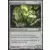 Terraforgeur myr Foil