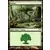 Forêt