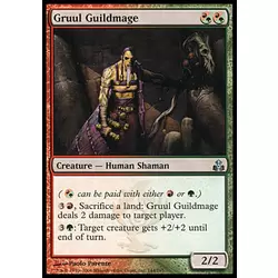 Ghildmage de Gruul