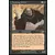 Sorcier devin